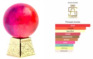 Cherry in The Woods - 100ml